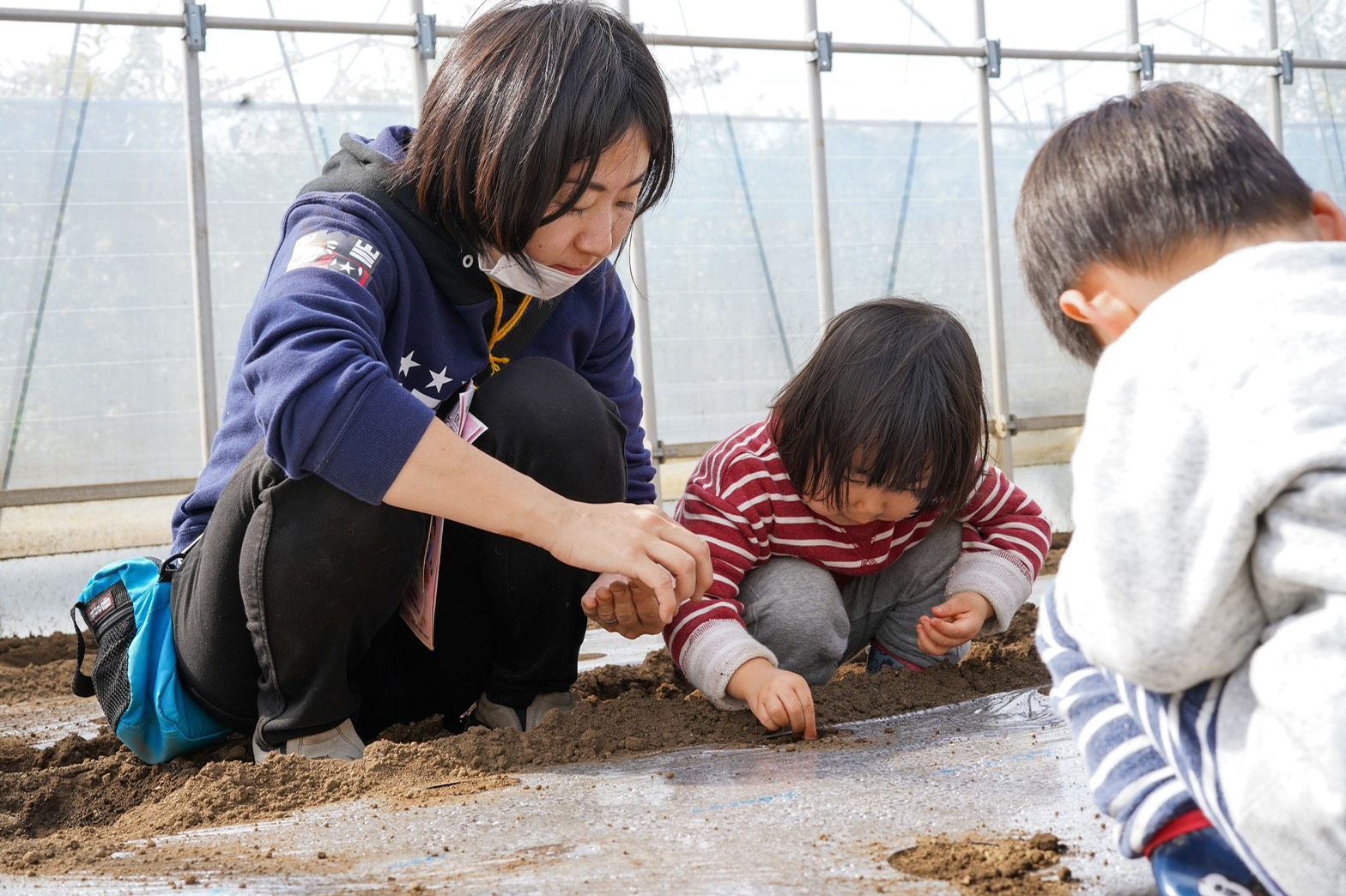 立川市｜親子で秋のさつまいも掘り！ カブの収穫と野菜の種まきも体験しよう（体験レポート）東京で子どもと一緒にできる